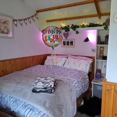 Hotel Peppercorn Pod At Beck House Glamping Salmonby Zewnętrze zdjęcie